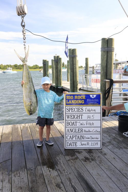 JR Angler Dolphin JR Angler Dolphin
